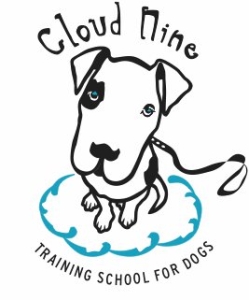 cloudnine