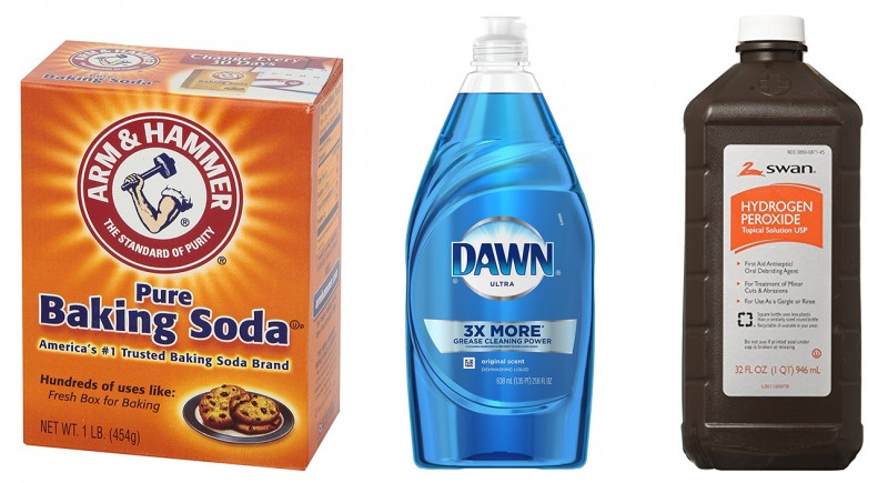 Guide to Skunk Treatment – Total Dog Company